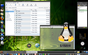 linux