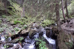 20190916_102738