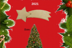 Vánoce 2021_Šalamoun