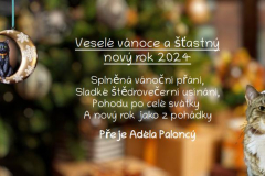 Vánoce 2023_Paloncý