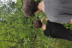 IMG_20240603_195945