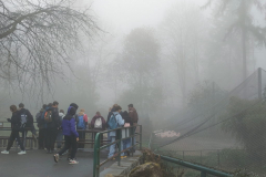 IMG20241111110400_v1