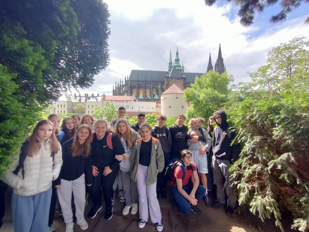 IMG20250529104116_v1