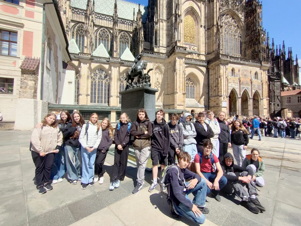 IMG20250529114311_v1