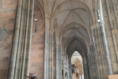 IMG20250529111134_v1