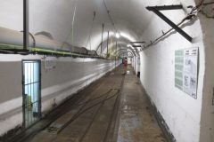 IMG_2447_v1