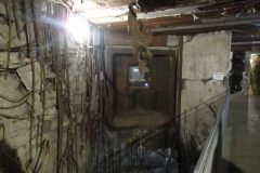 IMG_2455_v1