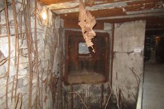 IMG_2458_v1