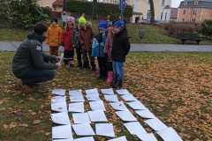 WhatsApp-Image-2025-12-05-at-13.10.072