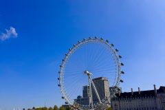 IMG_8108_v1