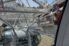 IMG_8124_v1