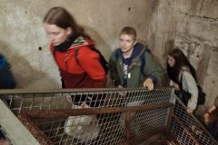 IMG_20261006_112129
