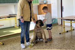 IMG_1768_v1