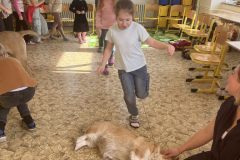 IMG_1781_v1