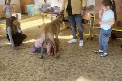 IMG_1785_v1