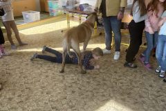 IMG_1786_v1