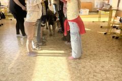 IMG_1788_v1