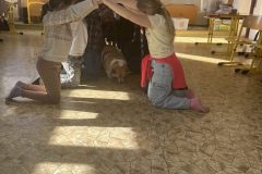 IMG_1790_v1