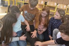 IMG_1804_v1