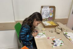 IMG_8225_v1