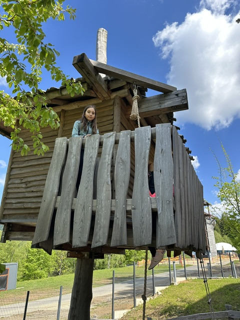 26