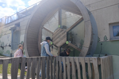 12