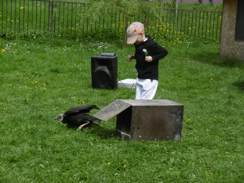 P1000962