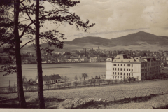 zyLU5euu