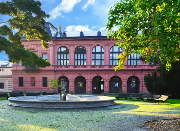 muzeum