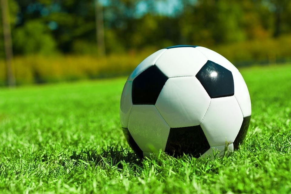 fotbal